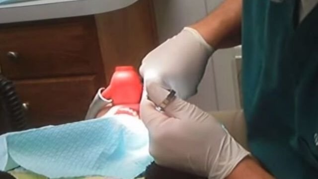 Tandläkare i Malmö drog omotiverat ut patienters tänder