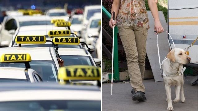 Muslimska taxichaufförer vägrar köra ledarhundar – anses ”orena”