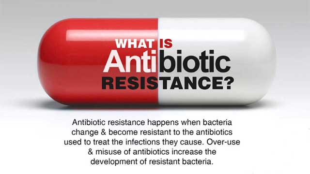 Antibiotikaresistenta bakterier från Mellanöstern hot mot mänskligheten