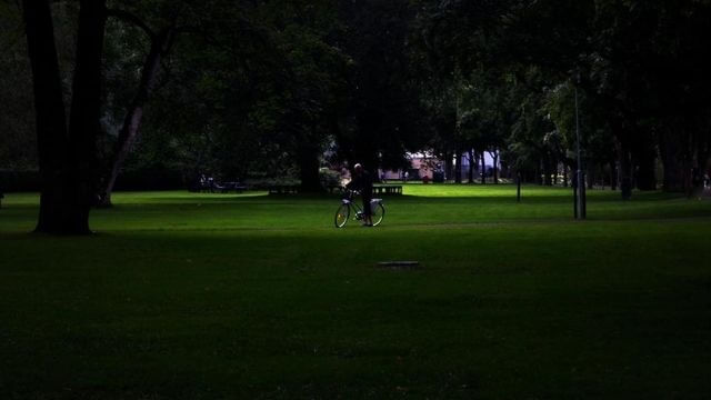 Våldtäktsvåg i Uppsala – kvinna skrek efter hjälp men ingen ingrep