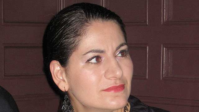 ”Ingen mänsklig rättighet för svenskar att känna igen sig i sitt eget land”