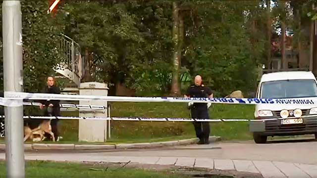 Polisen i Luleå efterlyser mörkhyade våldtäktsmän