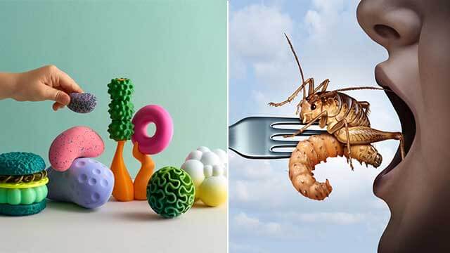 Barn ska tränas att äta avfall och insekter – ”klimatsmart”