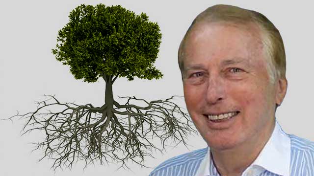 Riktiga rötter – en kritik av Sverigedemokraternas anpassningslinje