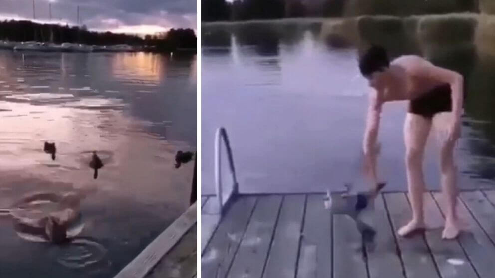 VIDEO: Här torteras gräsanden till döds vid badplats