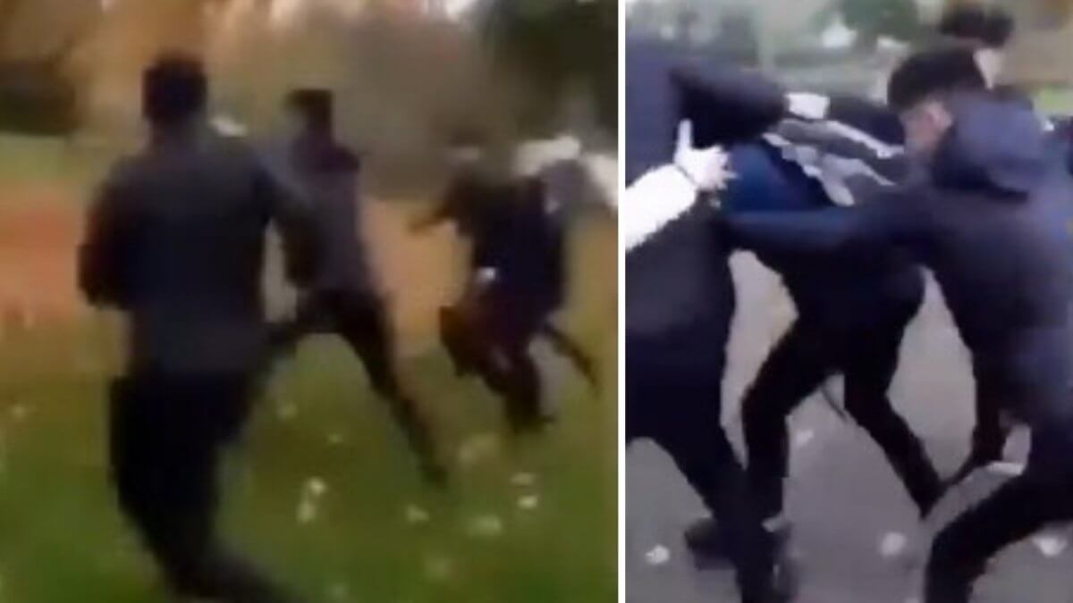 VIDEO: Invandrargäng jagar ensam 14-årig – stampar pojkens huvud