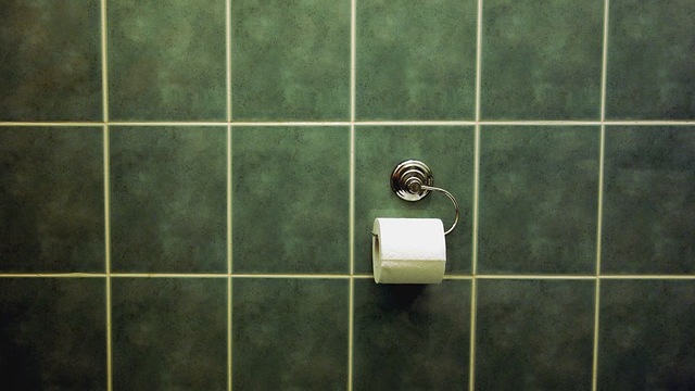 Ekonomisk kris i skolan ska lösas med indraget toapapper