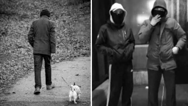 70-årig hundägare stenades av ungdomsgäng