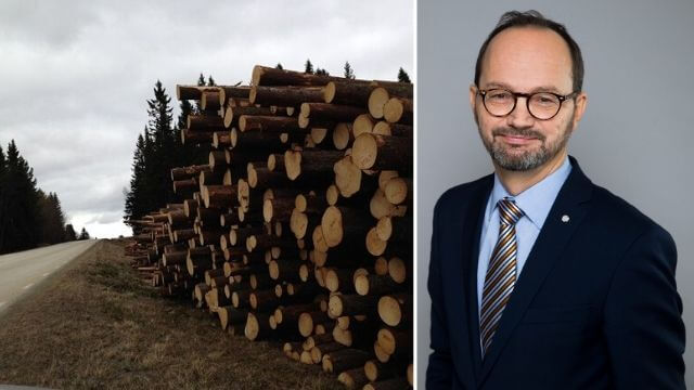 Regeringen tvångsbeskattar virkesupplag vid vägar