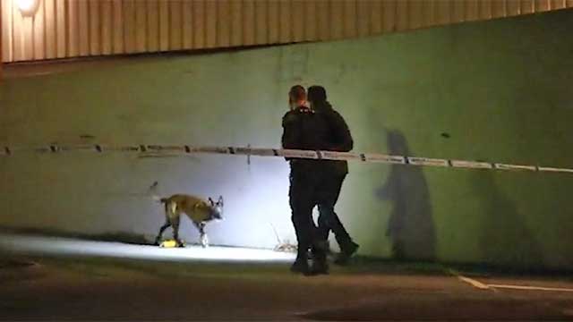 Ung man ihjälskjuten i södra Storstockholm