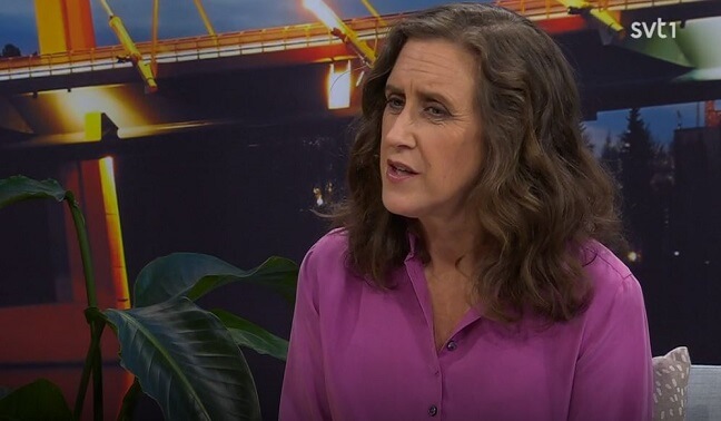 Hannah Stjärne: SVT inte vänstervridet