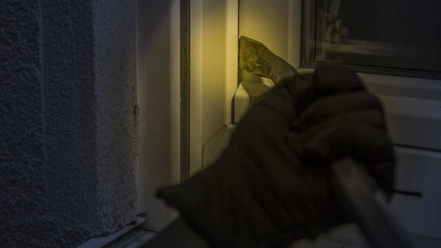 Villaägare i Nynäshamn jagade inbrottstjuvar till skogs