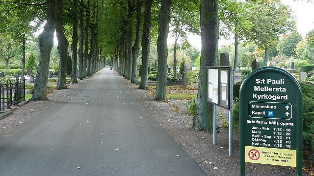 Droghandel och prostitution på Malmös kyrkogårdar: ”Ingen trygg arbetsplats”