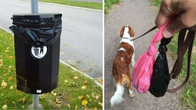 Kommun i ekonomisk kris – tar bort hundlatriner