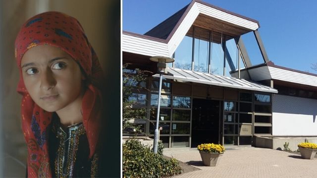 Skånsk kommun satsar på ”gratis” arabisk filmvisning