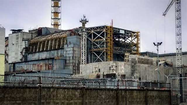 Svamp som äter radioaktiv strålning påträffad i Tjernobyl