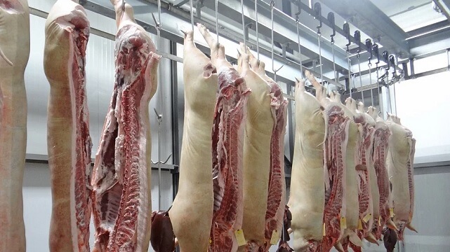 Ökad illegal slakt i Skåne