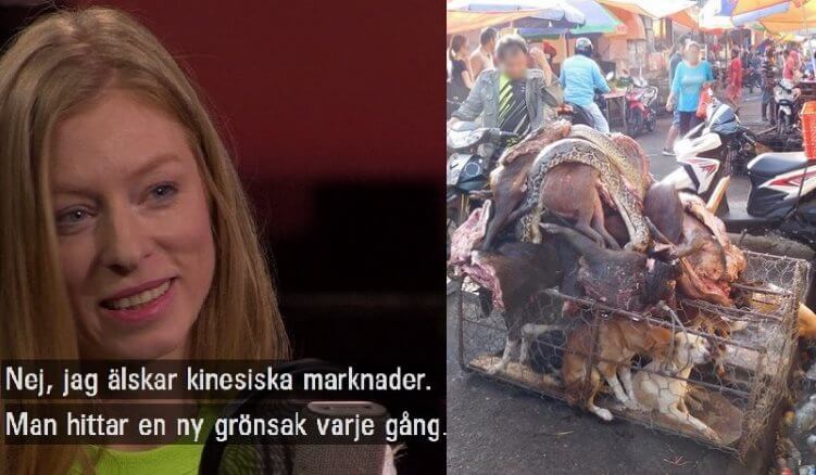 Statstelevisionen försvarar kinesiska djurmarknader: ”Vår favorit är blodsoppa med inälvor”