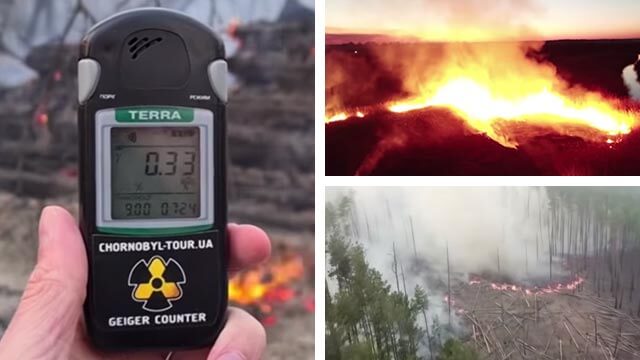 Tjernobyls skogar i brand