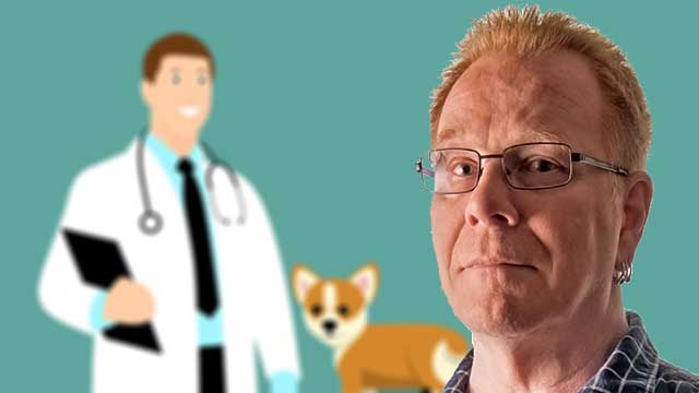 Svårt sjuka corona-patienter i Sverige sövs ned i tältläger med medicin för hundar