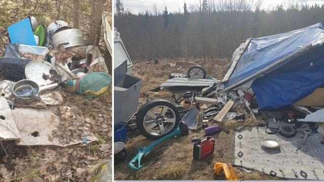 Skellefteå städar upp efter Samhällsnytts artikel om tiggarläger