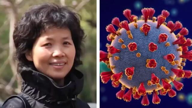 Kinesisk virusforskare påstås ha sökt asyl på amerikansk ambassad