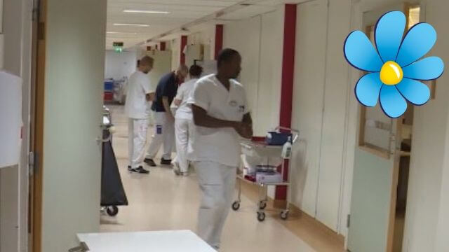 SD-förslag: Inför obligatoriskt språktest inom äldreomsorgen