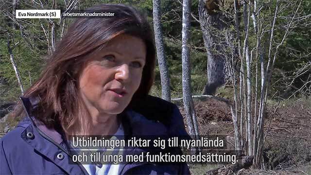 Nyanlända sätts i arbete med skogsplantering