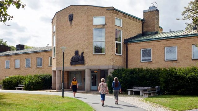 Ensamkommande Hussein försökte våldta sin lillasyster – döms till ungdomsvård