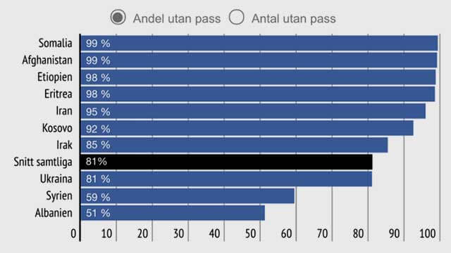 Asylstatistik för 2015-2019: Åtta av tio migranter saknade ID-handlingar vid ankomsten