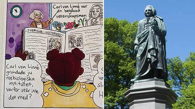 Svagt stöd för att riva statyer av Carl von Linné