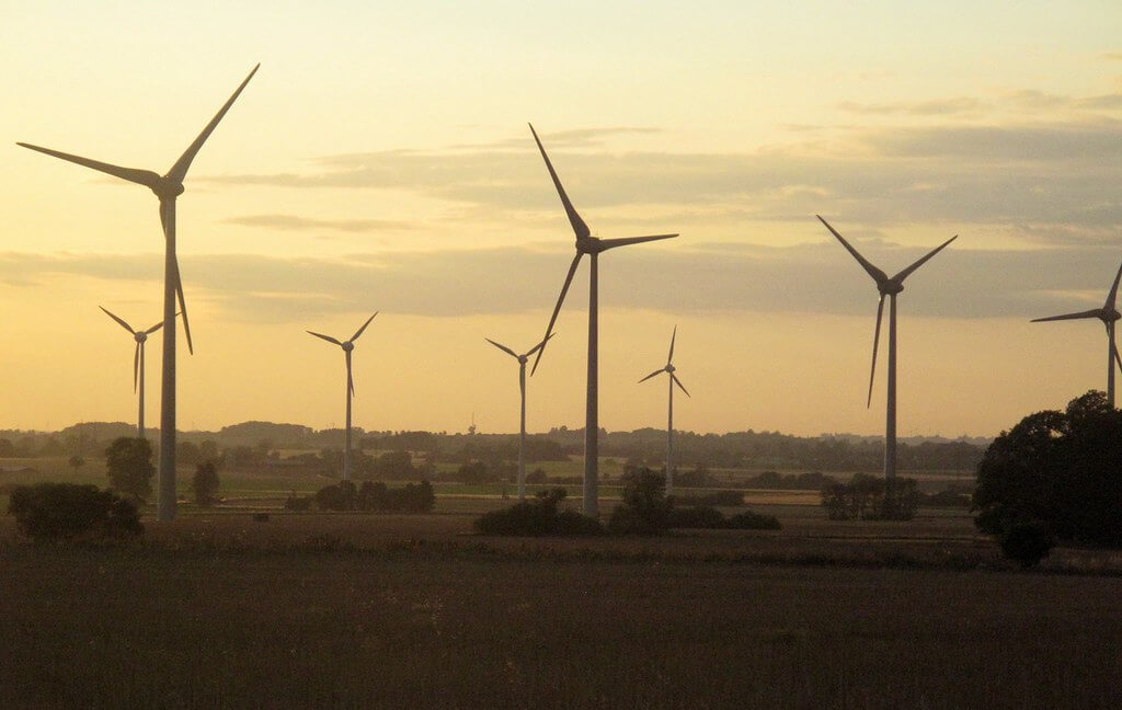 VARNINGEN: Regeringens satsning på vindkraft kan göra läget för svensk industri desperat