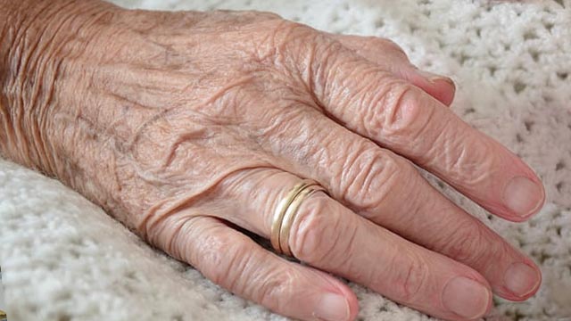 Snart kan din handflata även fungera som plånbok