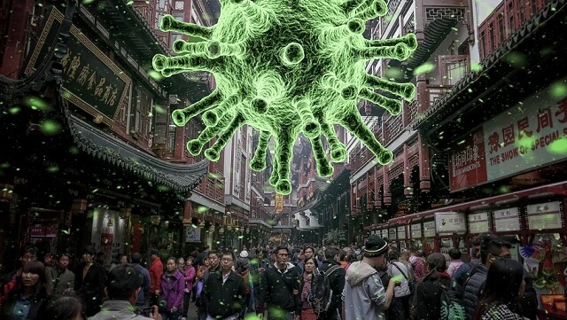 Ny virusstam hittad i Japan