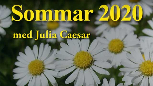 Sommar med Julia Caesar