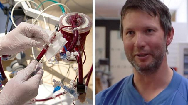 Sverige ska flyga in svårt sjuka utländska covidpatienter