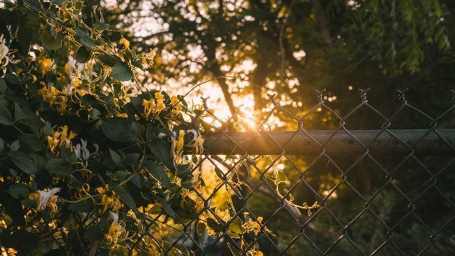 3 olika webbplatser med väderinfo