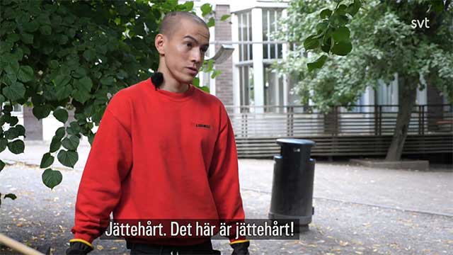 V, MP och C fortsätter trycka på för avskaffade krav i gymnasielagen – får draghjälp av SVT