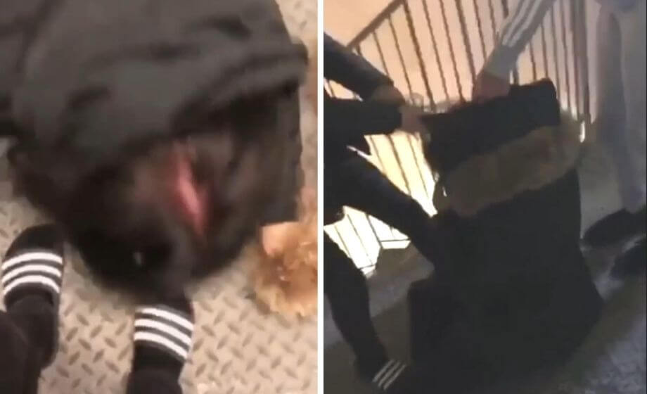 VIDEO: Flicka sparkas i huvudet och tvingas kyssa gängets skor – ”Säg jag är stolt hund”