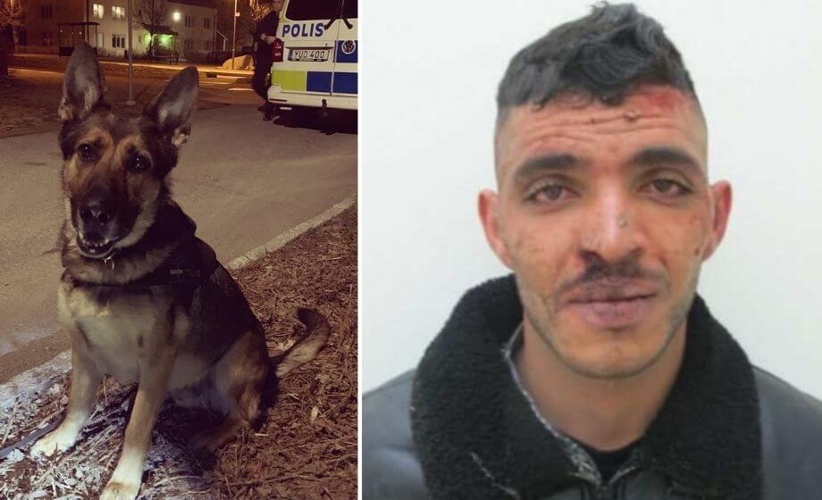 Aladdin försattes på fri fot och våldtog flicka på väg hem från skola: ”Han bara skrattade”