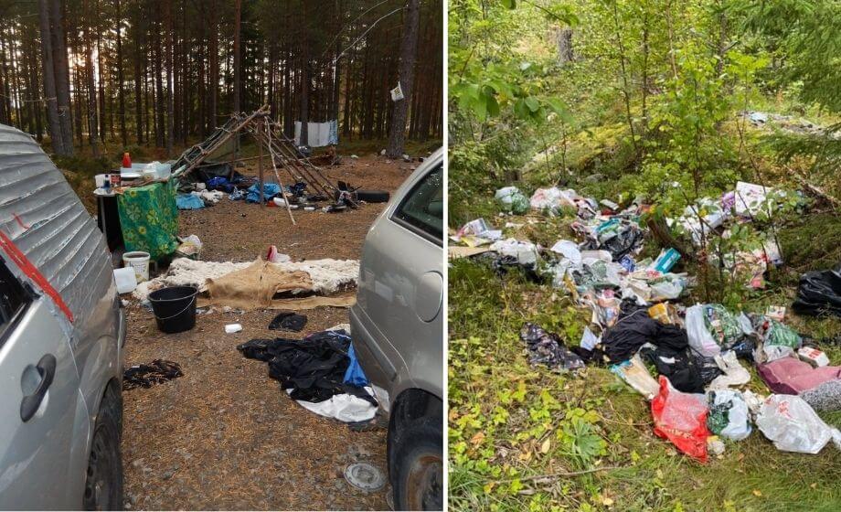 BILDEXTRA: Bilvrak och högar av skräp efter bärplockare – sanering för halv miljon kronor