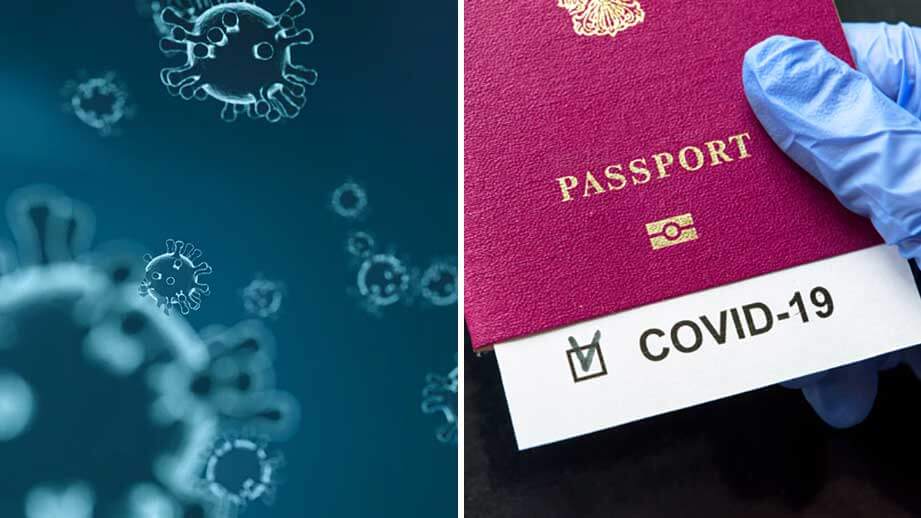 Förslag: Covid-pass ska ge utvalda fri rörlighet