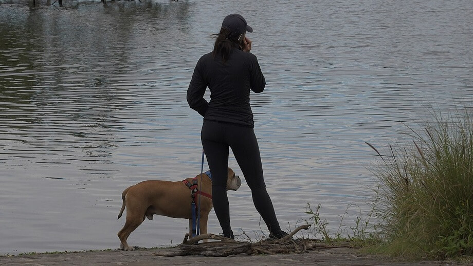 Våg av oprovocerade överfall mot kvinnor på hundpromenad skapar rädsla