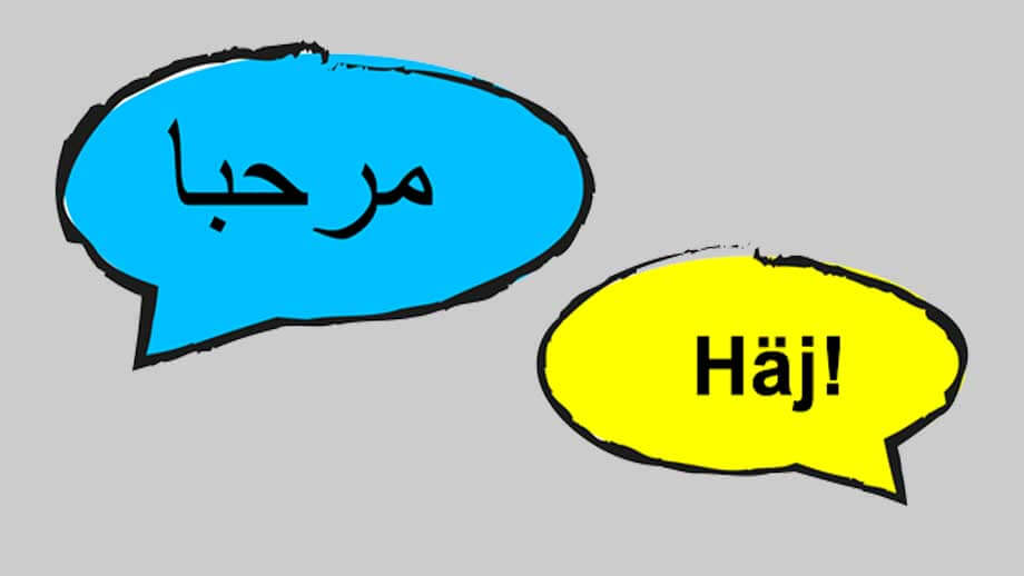 Kaos i tolkbristens Sverige – judehat, bedrägerier och felöversättningar