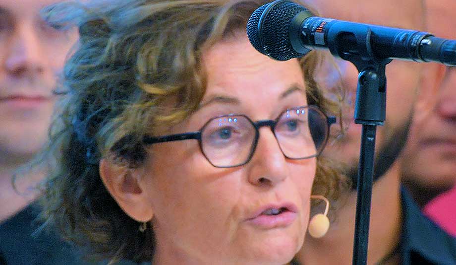 Forum för levande historia varnar för invandrad antisemitism