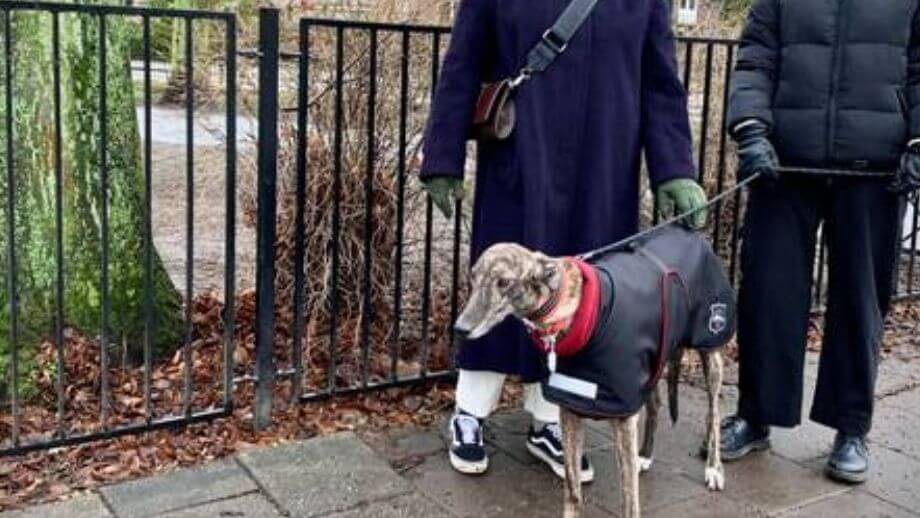 Bullar fyllda med glaskross utlagda på Malmös gator och hundrastgårdar