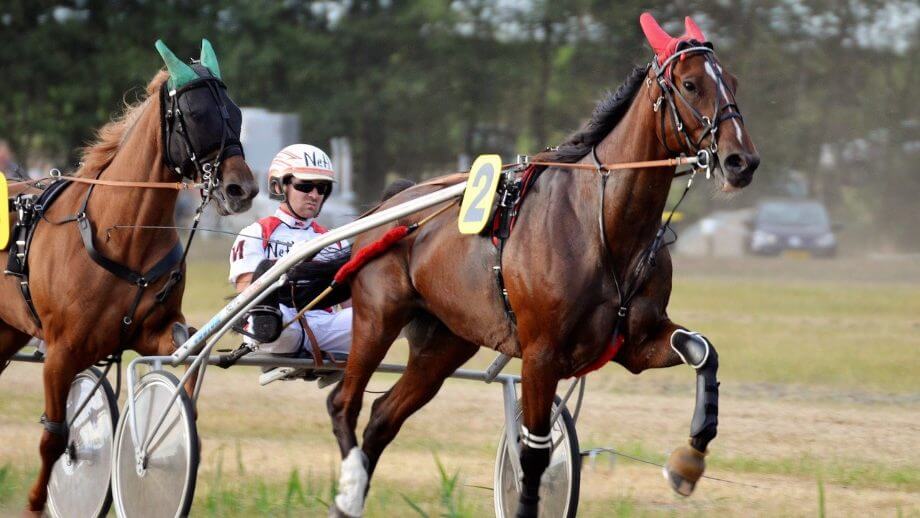 ATG bara växer och växer