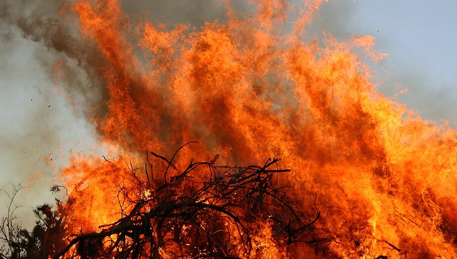 Kommunpolitiker sitter i miljönämnden – misstänks för miljöbrott