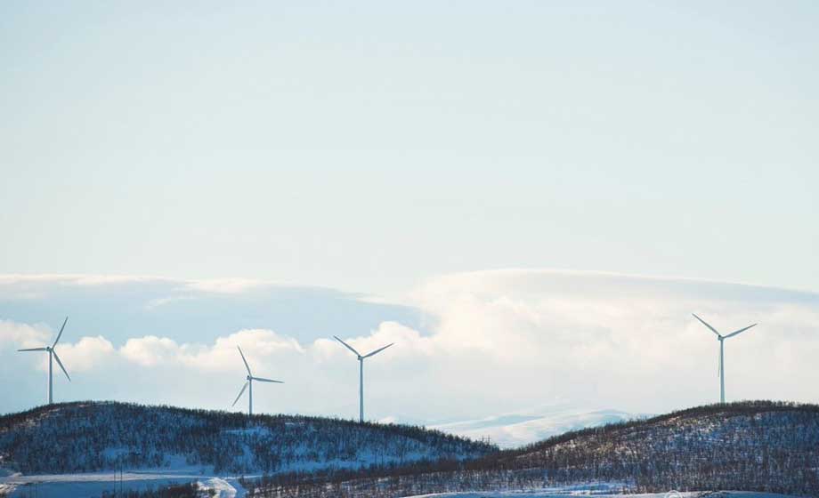 Trots kraftiga subventioner går vindkraftsverk med förlust