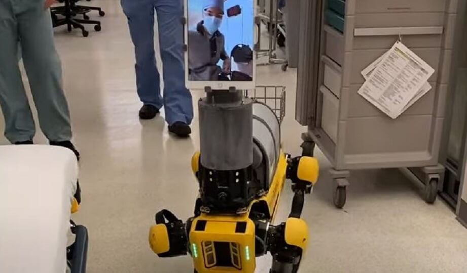 Dystopisk robothund ska vårda patienter